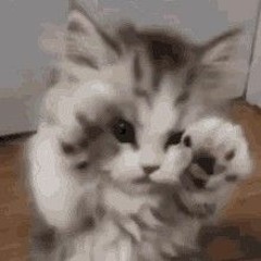 sway - Michael buble (sped up)