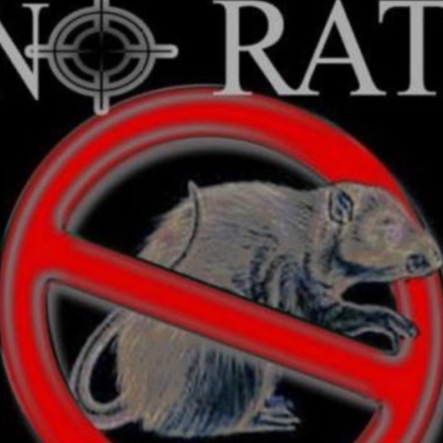 HAV1K- introduction 2 A snitch- ft B-Cool!