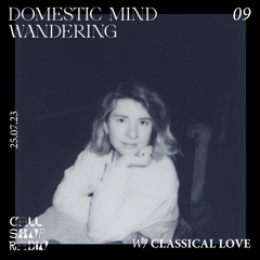 Domestic Mind Wandering w/ Classical Love