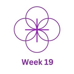 Week 19
