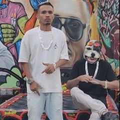 MC DFG É TIPO TIRO DE FUZIL 2 ( DOG BEATZ )
