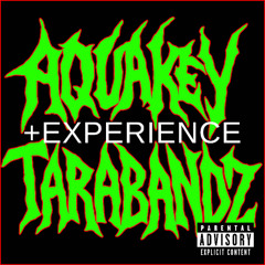 EXPERIENCE PROD DREAMY x PLAYASIN