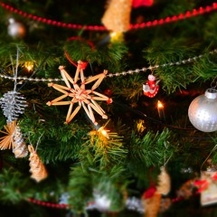 LNP der Weihnachtssong feat. Traffic Boi & 45Sack