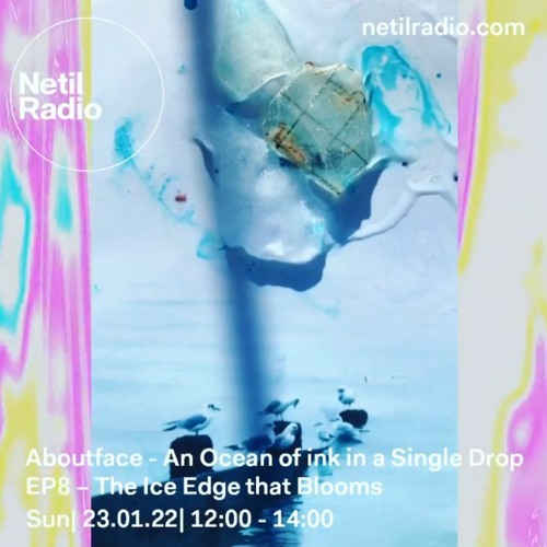 EP8 - The Ice Edge that Blooms (Live+DJ Hybrid) on Netil Radio 23-1-22