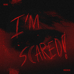BINi - I'm Scared! (Sound piercer Remix) [2025]