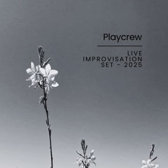 Live Improvisation Set 2025