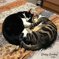 Sleepy Sunday