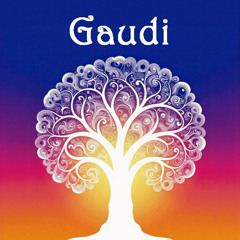 Gaudi