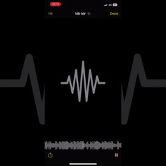 Mb tdr x Ym  -dotty2manny