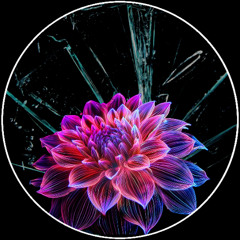 Wonka & Statek - Broken By Design (reserved)