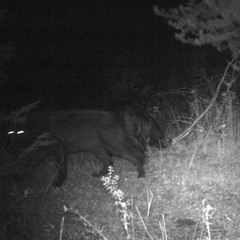 WORKINGONDYING | PROD. TYDAVID