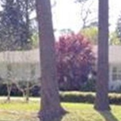 sidewalk chalk & scabbed knees