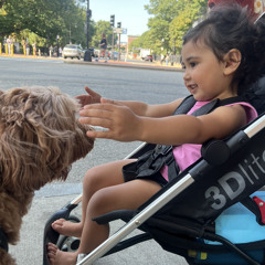 قبل اما تقولي حسيبك