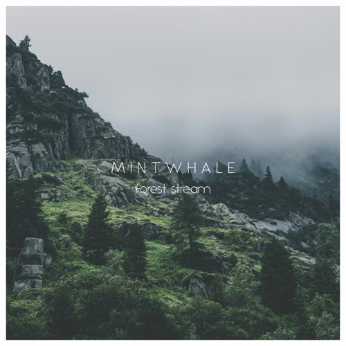 Stream Forest Stream - Slow Ambient Background Music | Airy Ambient  Soundscape (FREE DOWNLOAD) by MintWhale | Listen online for free on  SoundCloud