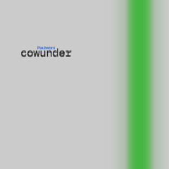 Paulworx - Cowunder [boombap90s_research]