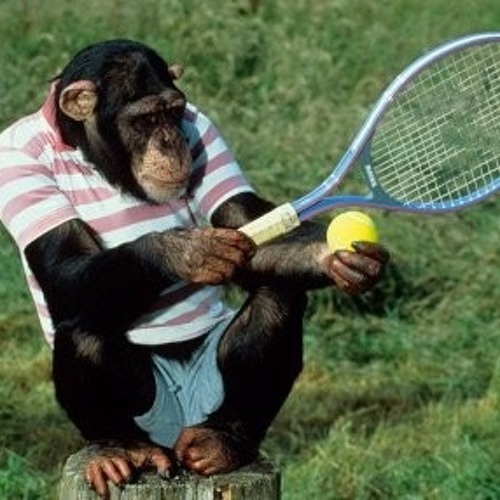 Stream Monkey Tennis by Specsoffender | Listen online for free on SoundCloud