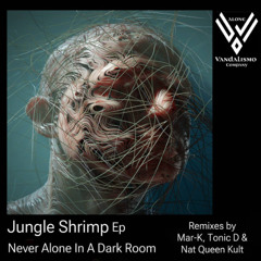 PREMIERE: Never Alone In A Dark Room - Nanny (MAR-K Remix)