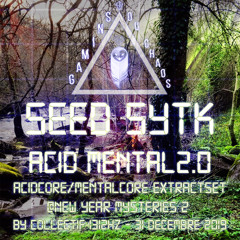 Acid Mental 2.0 - Seed SYTK