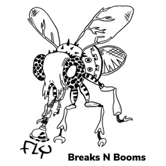 Breaks N Booms