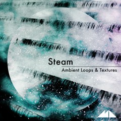 Steam [Pack Demo]
