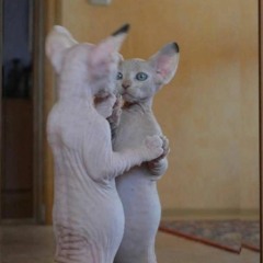 Сусанин (prod. ScrapWithThatFire)