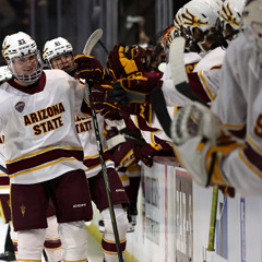 306 Multimedia Podcast Assignment