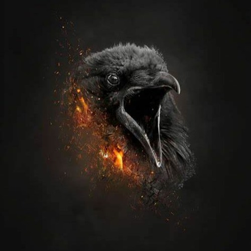 Dizzyreaper FreeStyle Flow