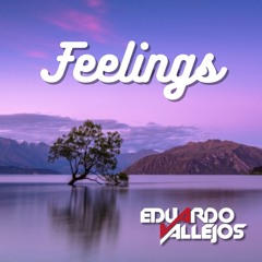 FEELINGS by Eduardo Vallejos