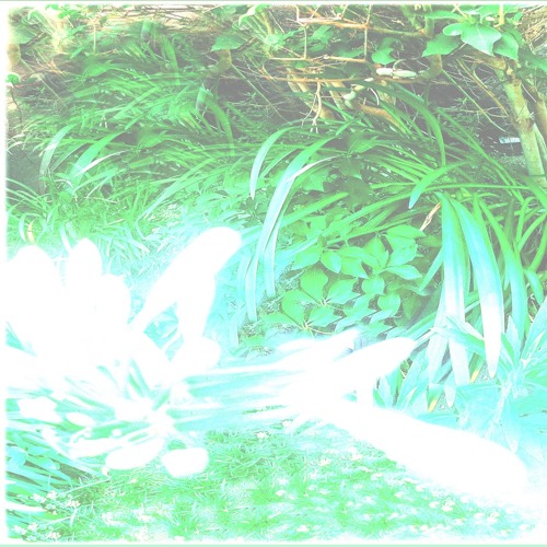 TypeC *･゜ﾟ･*:.｡..｡.:*･'*'･*:.｡. .｡.:*･゜ﾟ･*