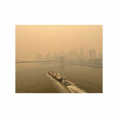 Collage, June 7th 2023, Brooklyn