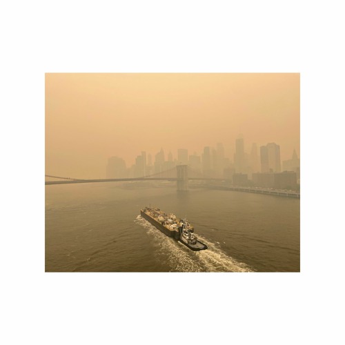 Collage, June 7th 2023, Brooklyn