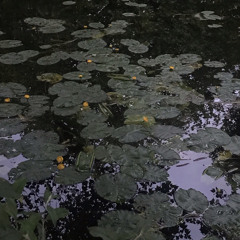 Táim Cortha ó Bheith im'Aonar i Mo Luí