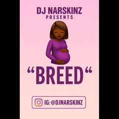 DJ Narskinz Presents "Breed" | 2025 Dancehall Mix | Slow Wine Mix | New Dancehall