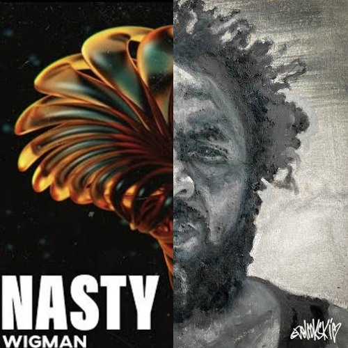Wigman - Nasty x They Aint Listening - DRS ft. T95