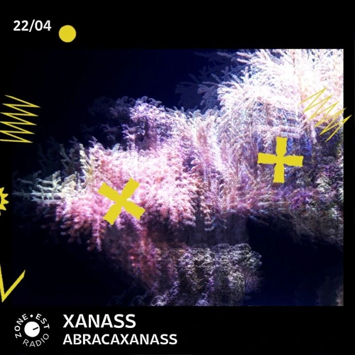ABRACAXANASS avec XANASS Soundcloud podcast image for