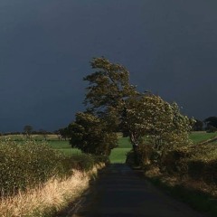 حوارٌ عذب.mp3