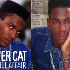 Silver Cat 90s Dancehall Mix By Djeasy