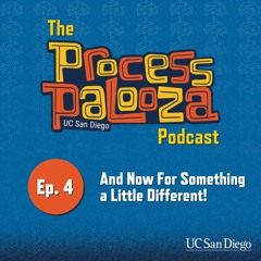 Process Palooza Podcast Ep. 4: And Now For Something a Little Different!