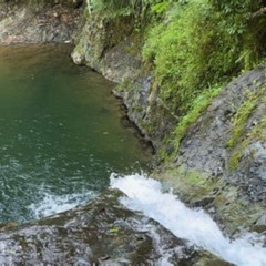 Review Special Price Salto De Pilar Cliff Jumping Tour