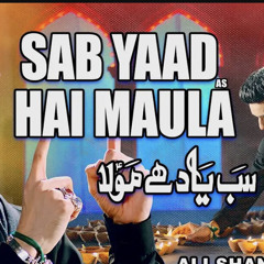 Sab Yaad Hai Maula  Ali Shanawar  2023  1445