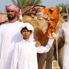 السبوق النادره🗡️🏆