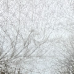 Life In Greyscale