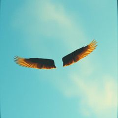 Heavens wings