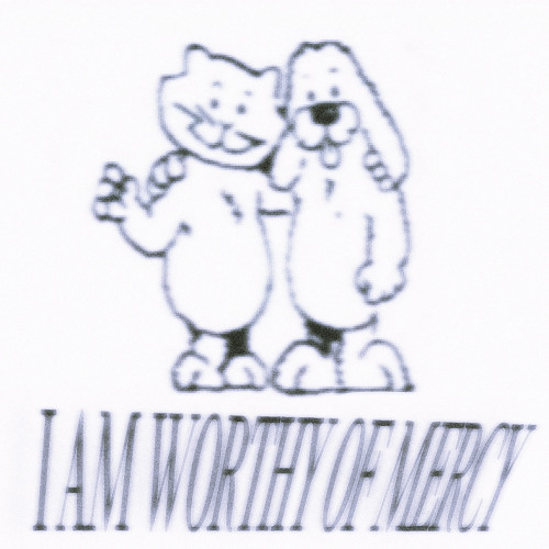 flowers into the sun