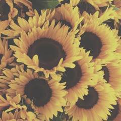 // hamilton ~ who lives, who dies, who tells your story [slowed] //