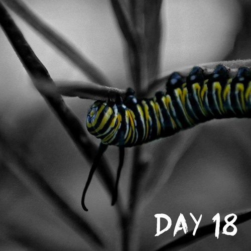 Day 18