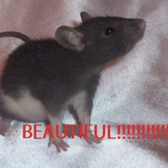 GOD ISN'T THE ONLY ONE WHO KNOWS | DEMOS