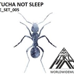 Loko Maq_Pitucha_Not_Sleep_Live_Set_005