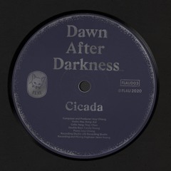 Cicada - Dawn after Darkness