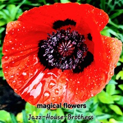 magical flowers